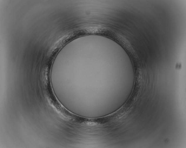 X0000115090590200911171219