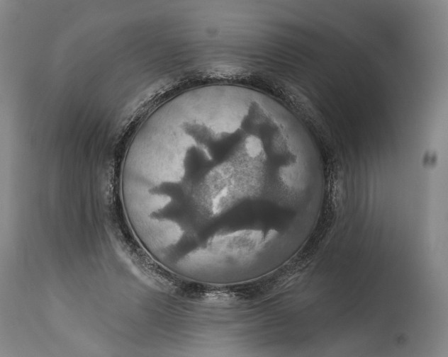 X0000115090591200911171219
