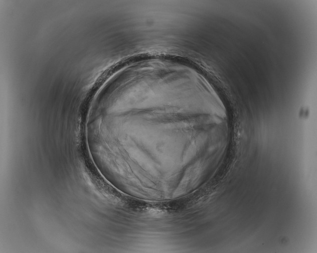 X0000115090592200911171219