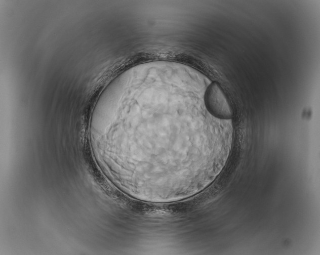 X0000115090594200911171219