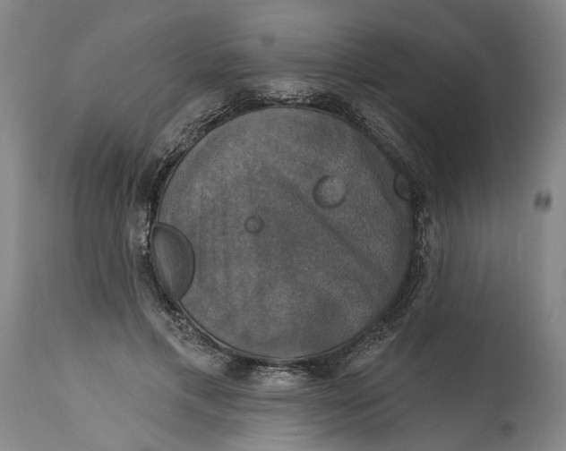 X0000115090597200911171219