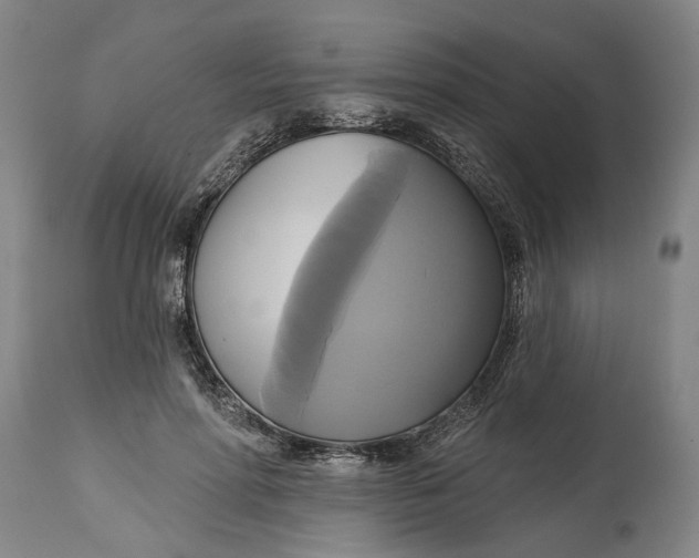 X0000115090598200911171219