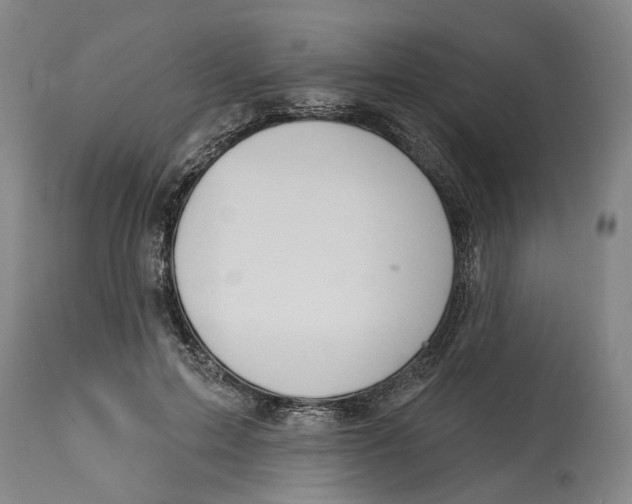 X0000115090599200911171219