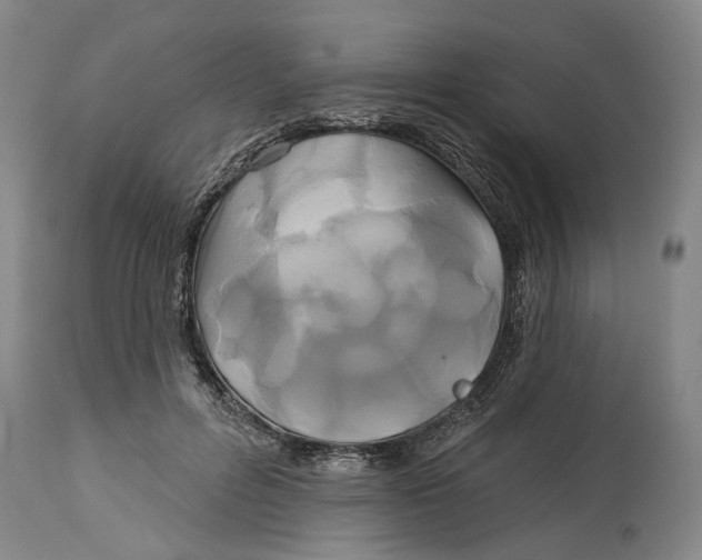 X0000115090600200911171219