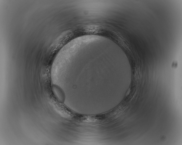 X0000115090601200911171219