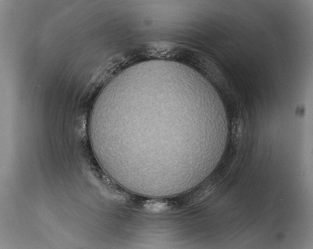 X0000115090602200911171219