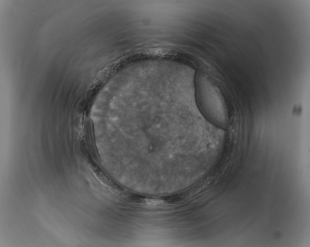 X0000115090605200911171219