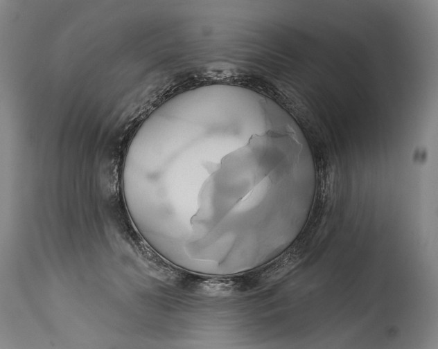 X0000115090606200911171219