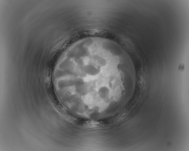 X0000115090607200911171219