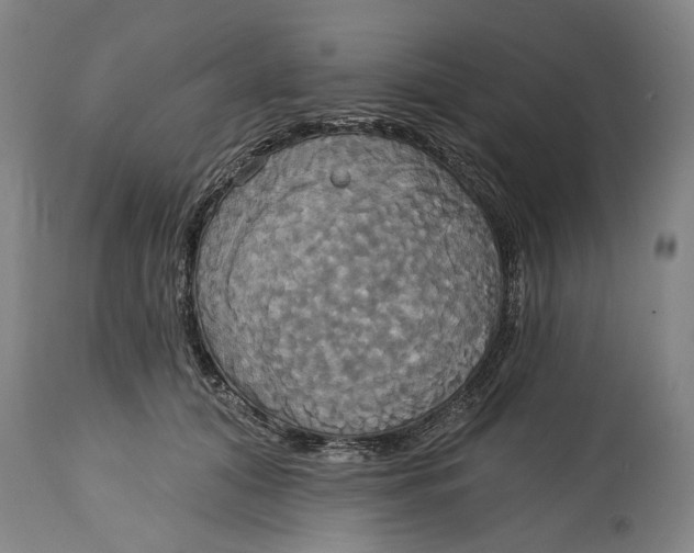 X0000115090608200911171219