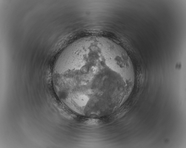 X0000115090609200911171219