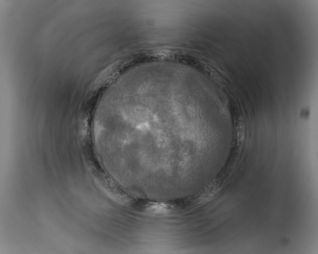 X0000115090611200911171219