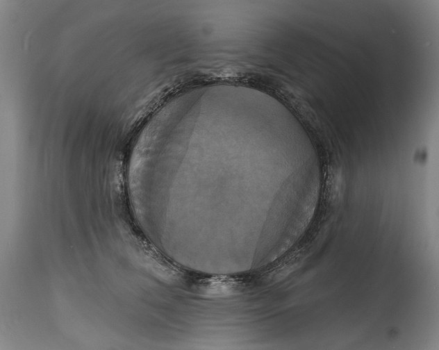 X0000115090612200911171219