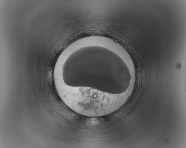 X0000115090613200911171219
