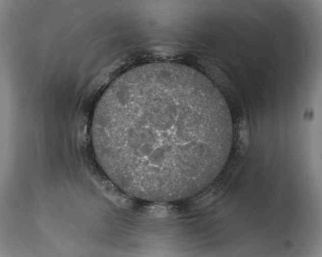 X0000115090615200911171219