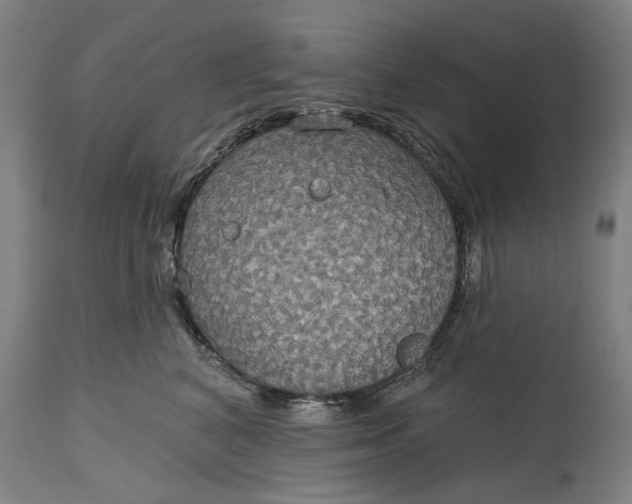 X0000115090616200911171219