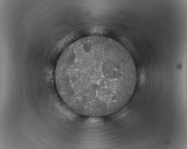 X0000115090619200911171219