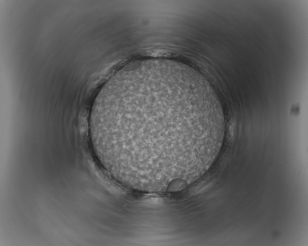 X0000115090620200911171219
