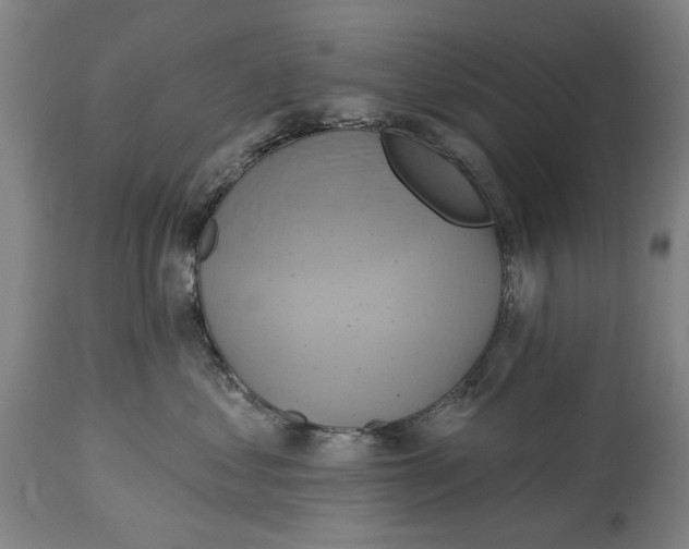 X0000115090621200911171219