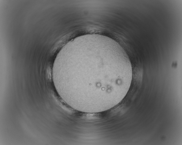 X0000115090622200911171219