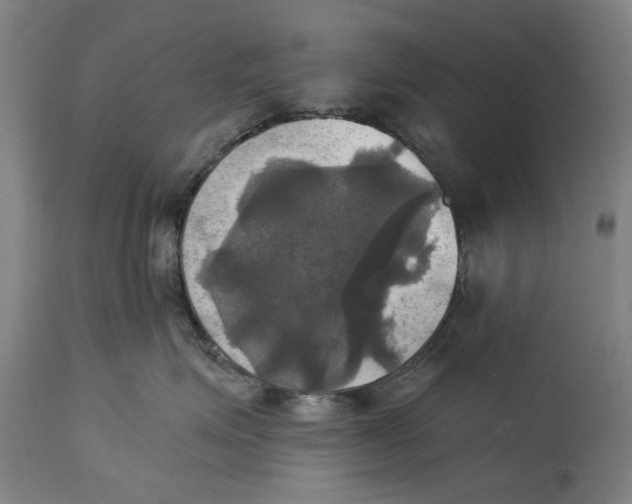 X0000115090623200911171219