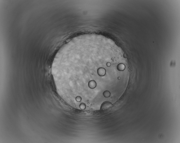 X0000115090624200911171219