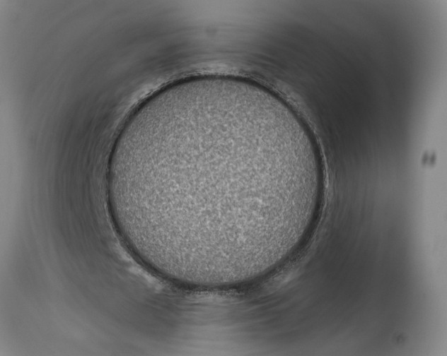 X0000115090625200911171218