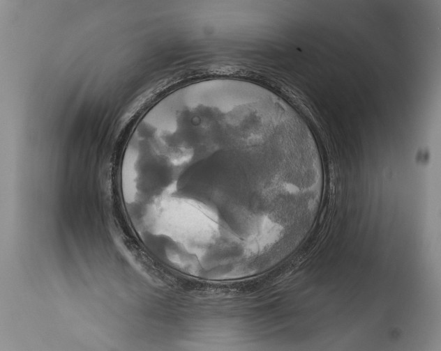 X0000115090626200911171218