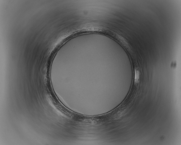 X0000115090627200911171218