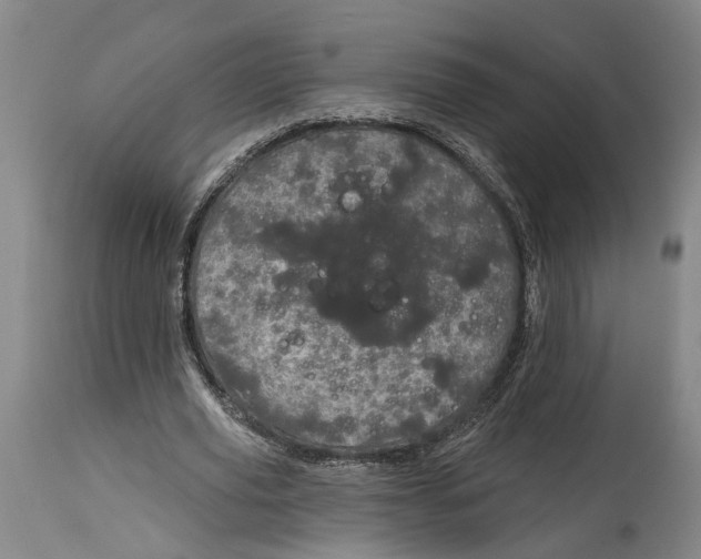 X0000115090629200911171218