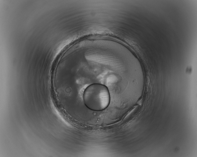 X0000115090630200911171218
