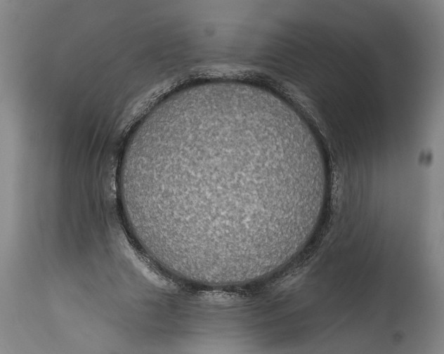 X0000115090633200911171218