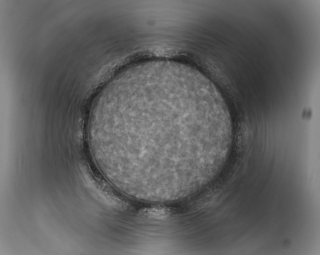 X0000115090639200911171218
