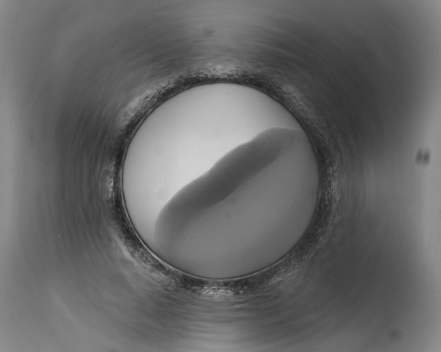 X0000115090640200911171218