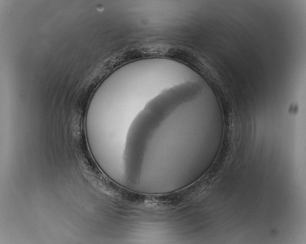 X0000115090641200911171218