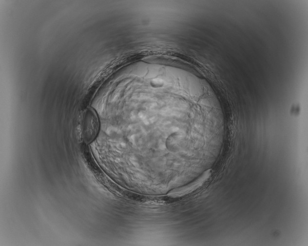 X0000115090642200911171218