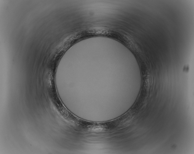 X0000115090643200911171218