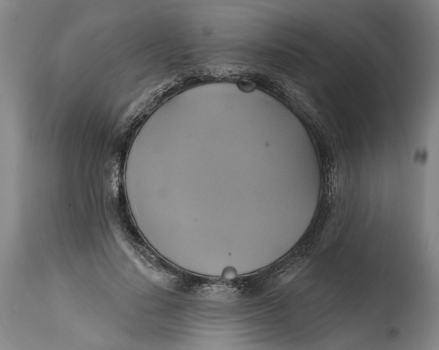 X0000115090644200911171218