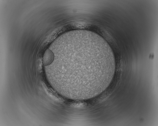 X0000115090646200911171218