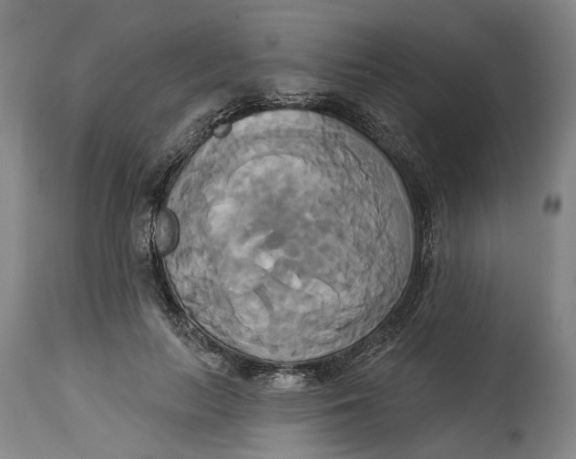 X0000115090647200911171218