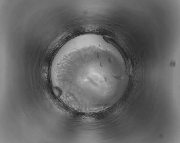 X0000115090648200911171218