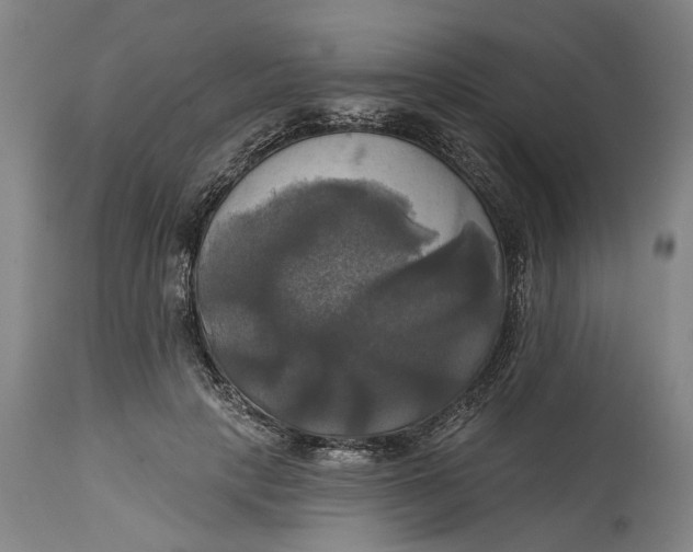 X0000115090649200911171218