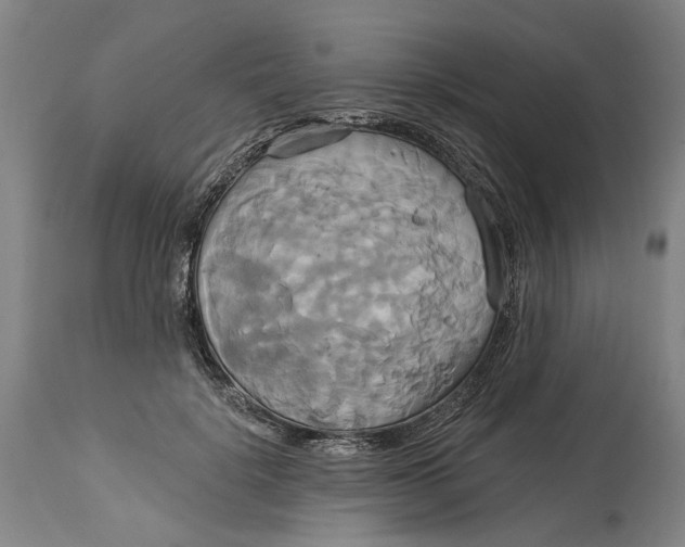 X0000115090652200911171218