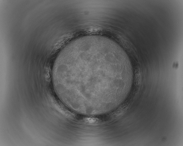 X0000115090654200911171218