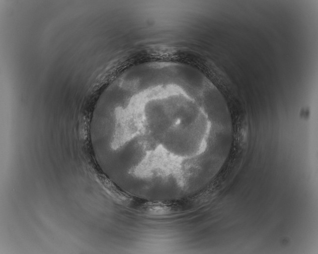 X0000115090658200911171218