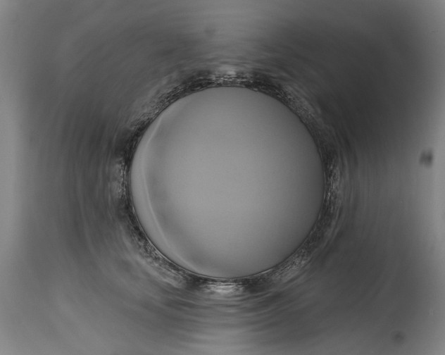 X0000115090659200911171218