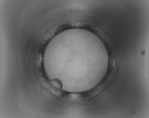 X0000115090660200911171218
