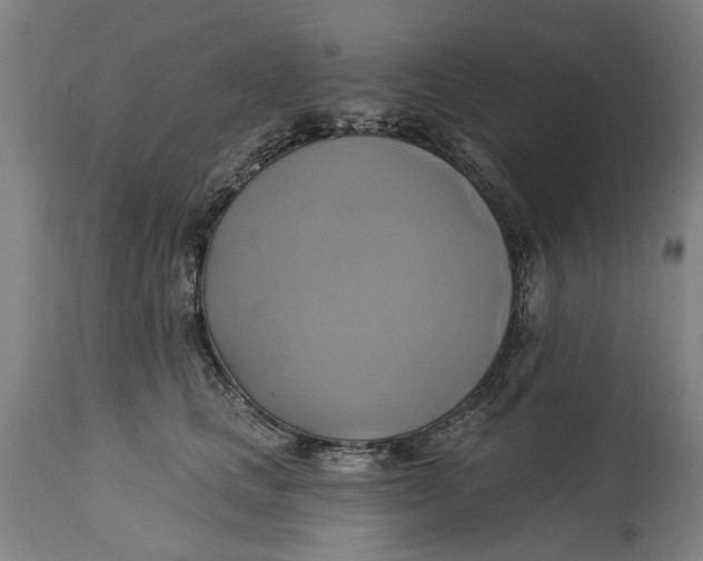 X0000115090661200911171218