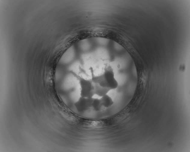 X0000115090663200911171219