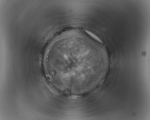 X0000115090664200911171219